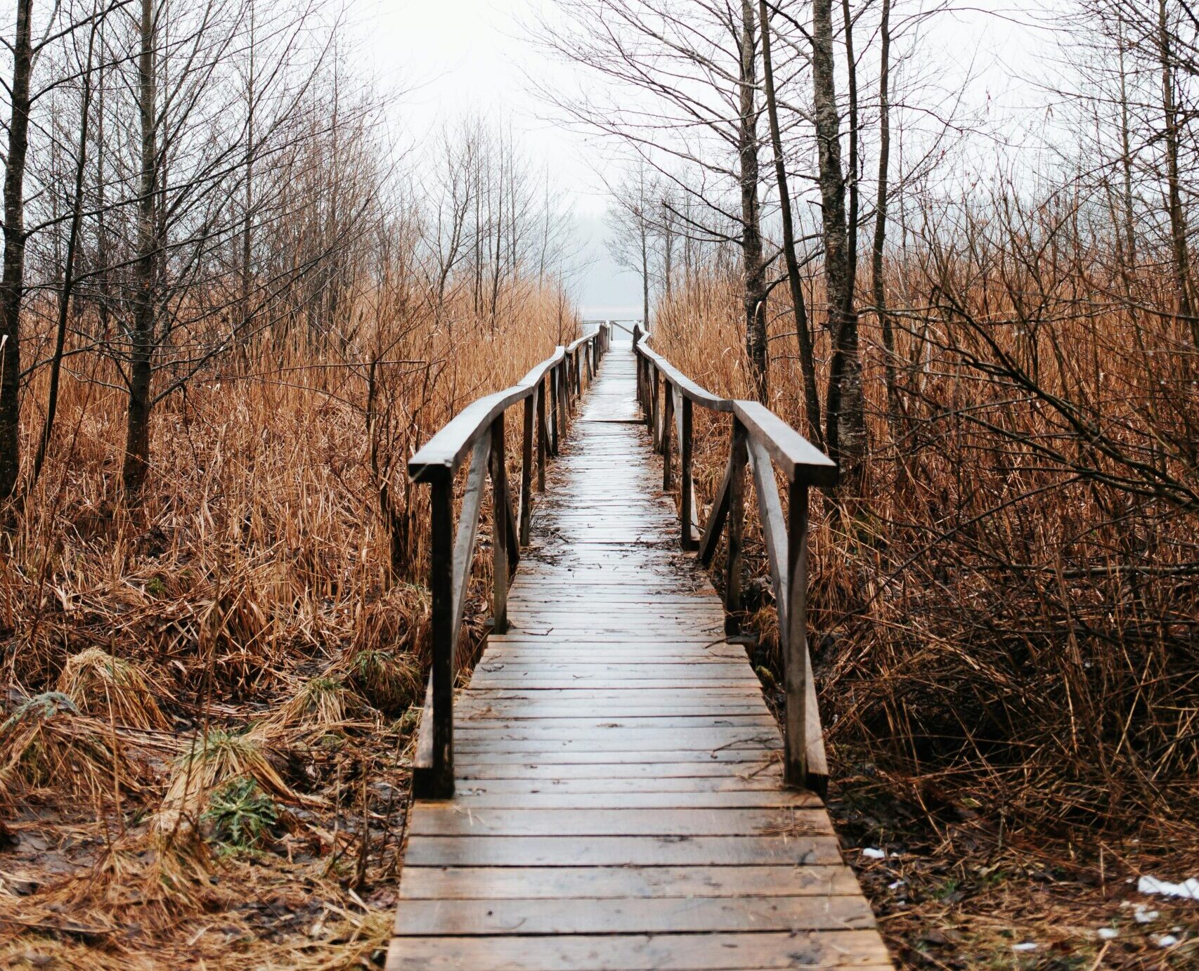 Crafting a roadmap to a purpose - filled life.